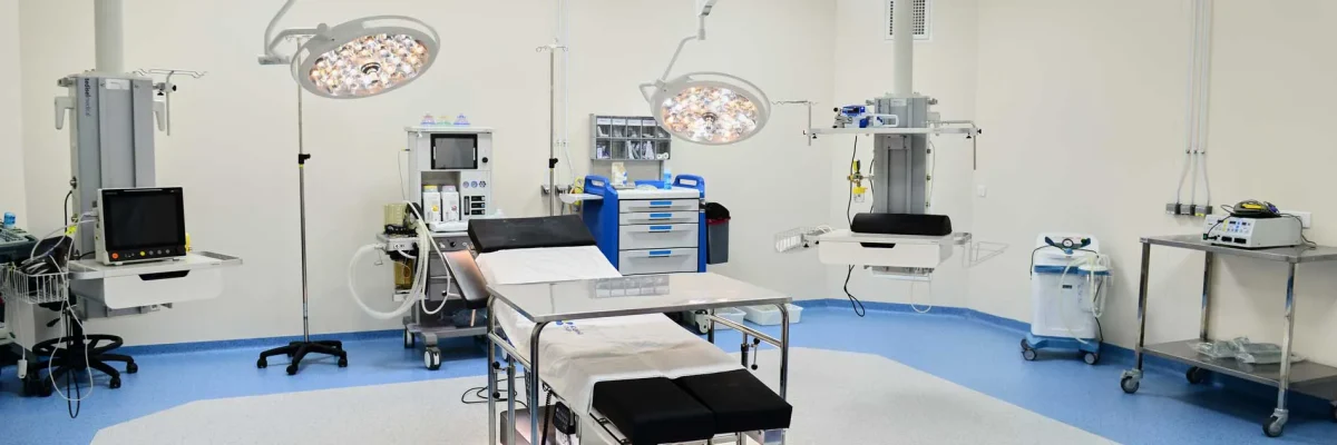 DSC_8747